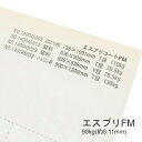 6月最大1,000円OFFクーポン 【特殊紙】エスプリFM 90kg(0.11mm) A4 50枚【キャストコート 製袋用 ツルツル】(2)