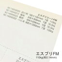 4月最大1,000円OFFクーポン 【特殊紙】エスプリFM 110kg(0.14mm)【キャストコート 製袋用 ツルツル】