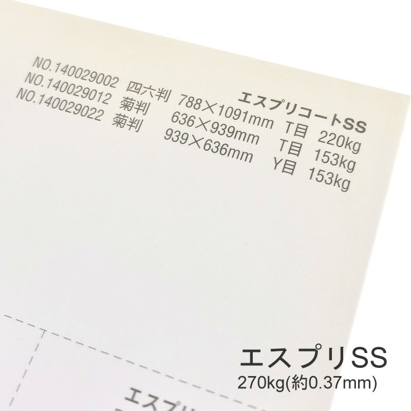 5月最大350円OFFクーポン 【特殊紙】エスプリSS-F 270kg(0.37mm) A4 50枚【キャストコート ケント紙 ツルツル】 1