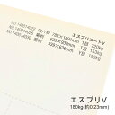 3月最大350円OFFクーポン 【特殊紙】エスプリV 180kg(0.23mm) A4 50枚【キャストコート 板紙 ツルツル】