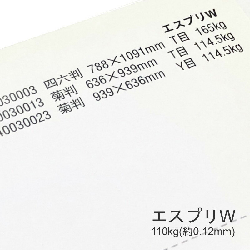 セール限定250円OFFクーポン エスプリW 110kg(0.12mm) B4 100枚