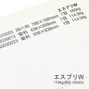 3月最大350円OFFクーポン エスプリW 110kg(0.12mm) B4 100枚