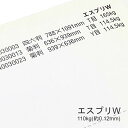 3月最大350円OFFクーポン 【特殊紙】エスプリW 110kg(0.12mm)【両面キャストコート ツルツル】