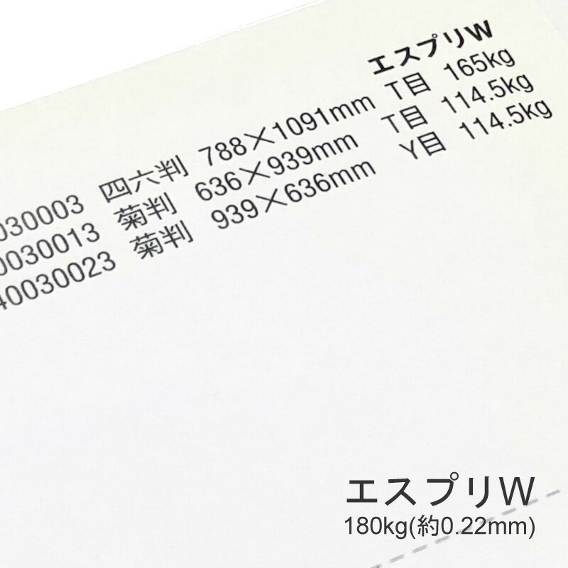 5月最大350円OFFクーポン エスプリW 180kg(0.22mm) A4 100枚