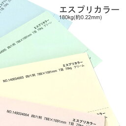 5月最大350円OFFクーポン 【特殊紙】エスプリカラー 70kg(0.09mm) B4 50枚【プリンター用紙 キャストコート】