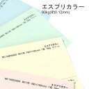 4月最大1,000円OFFクーポン 【特殊紙】エスプリカラー 90kg(0.12mm) B5 50枚【プリンター用紙 キャストコート】