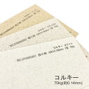 特種東海製紙 コルキー 70kg B5 100枚
