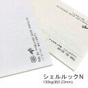 5月最大350円OFFクーポン 【特殊紙】シェルルックN 130kg(0.23mm) 選べる2色【ファンシーペーパー 印刷用紙】