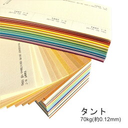 4月最大350円OFFクーポン 【特殊紙】タント 70kg(0.12mm) H色【TANT ファンシーペーパー 印刷用紙 ラフ肌 柔らかいエンボス】