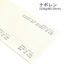 4月最大350円OFFクーポン ナポレン 220kg(0.29mm)