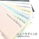 4月最大350円OFFクーポン ニューラグリンS 112kg (0.20mm)選べる8色