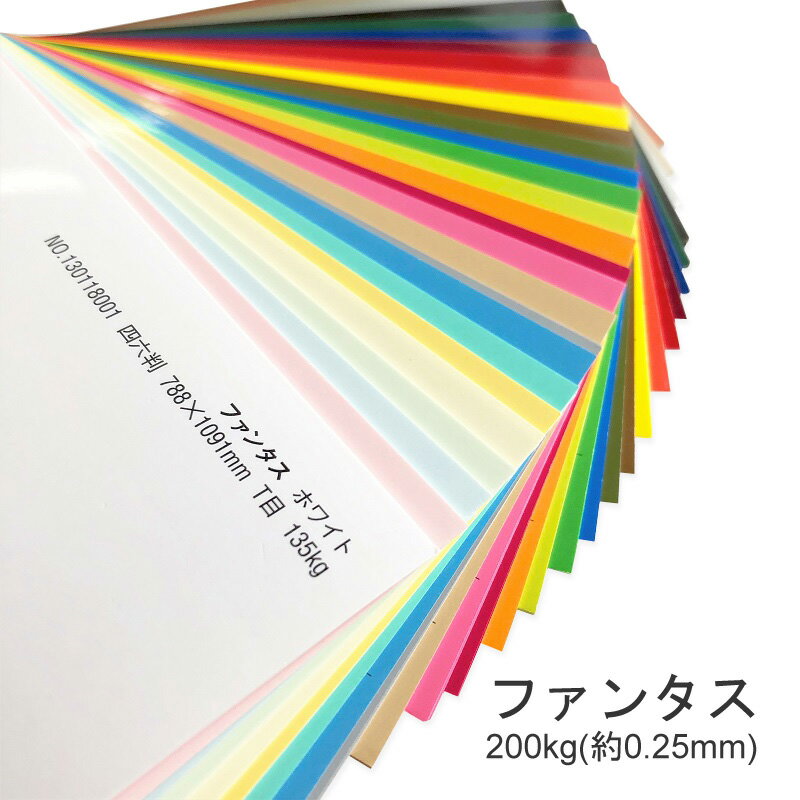 5月最大350円OFFクーポン 【選べる30色】 ファンタス 200kg 厚さ 0.25mm A4 50枚 ファンシーペーパー 印刷用紙 キャストコート 冊子 同人誌 表紙 名刺 ペーパーアート ペーパークラフト 工作 切り絵 スプレーアート 裏面白