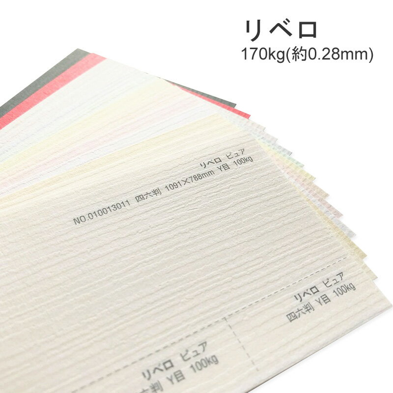 4月最大350円OFFクーポン 【特殊紙】リベロ 170kg(0.28mm) A4 100枚選べる3色【ファンシーペーパー 印刷用紙 ライン模様 エンボス パステル調】