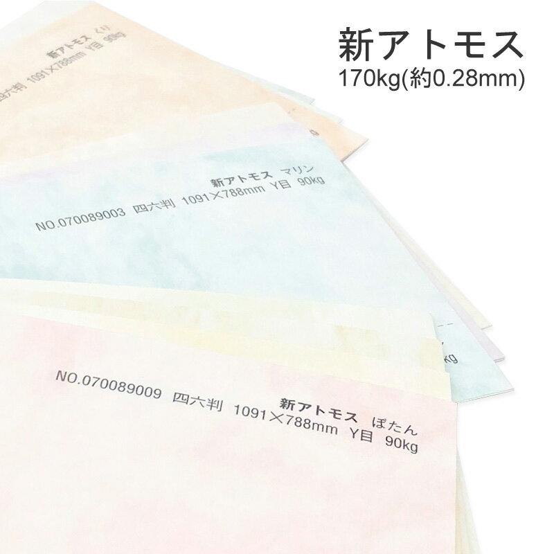 セール限定250円OFFクーポン 【全8色】 新アトモス B4 100枚 厚さ0.28mm 1000枚あたり170kg 特殊紙 フ..