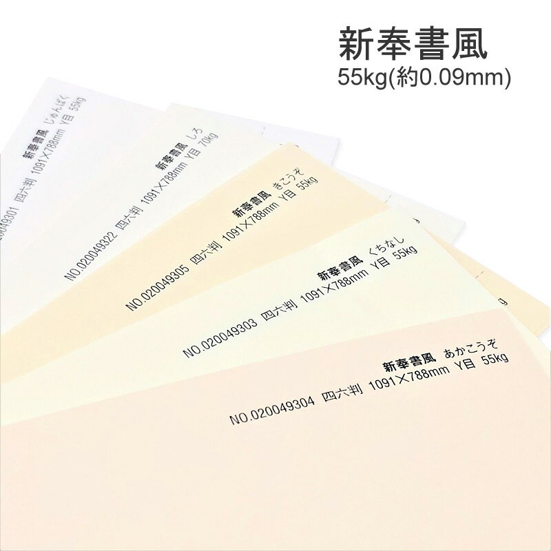 6月最大350円OFFクーポン 【選べる4色】 新奉書風 55kg 厚さ 0.09mm 選べるサイズ A3 A4 B4 B5 ファンシーペーパー 特殊紙 印刷用紙 奉書紙 和風 便箋 便せん 原稿用紙 案内状 幅広い用途 洋紙的感覚 和紙風 特種東海製紙