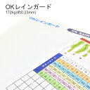 8月最大1,000円OFFクーポン 【水をはじく紙】OKレインガード 172kg(0.23mm) 選べる4サイズ【特殊紙 ファンシーペーパー 印刷用紙 オフセッ...