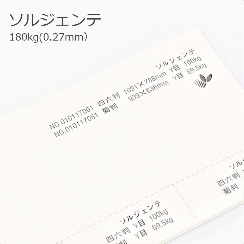 6ő350~OFFN[| yꎆz\WFe 180kg(0.27mm)yp 掆 ʎz