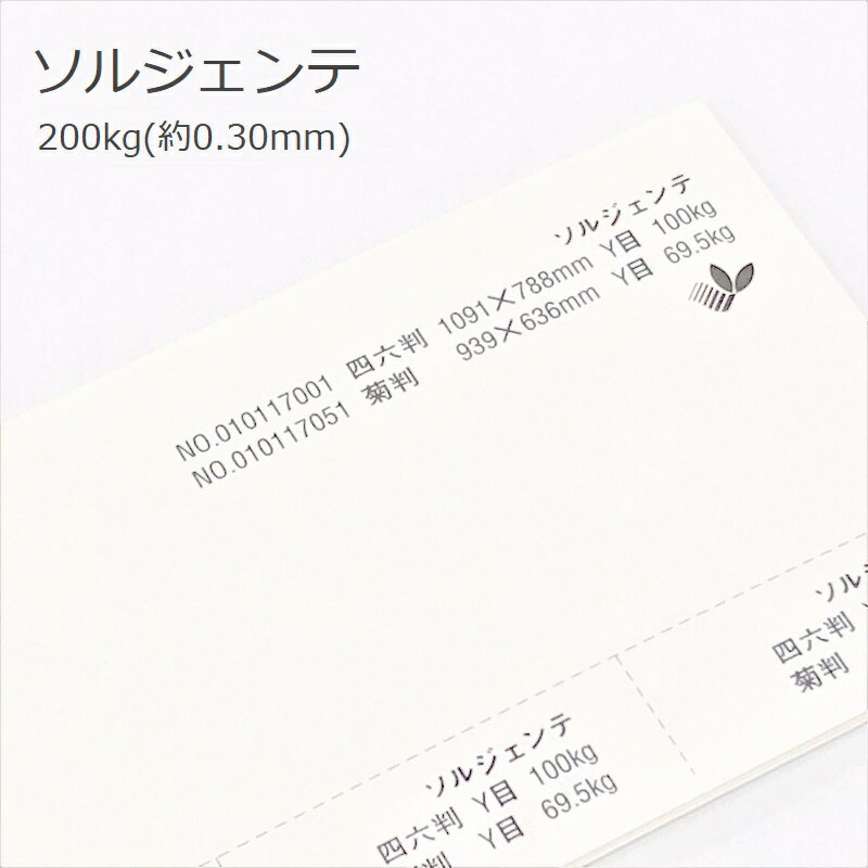 Z[250~OFFN[| yꎆz\WFe 200kg(0.30mm)yp 掆 ʎz