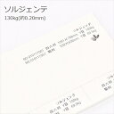 8月最大1,000円OFFクーポン 【特殊紙】ソルジェンテ 130kg(0.20mm)【印刷用紙 画紙風 水彩紙風】