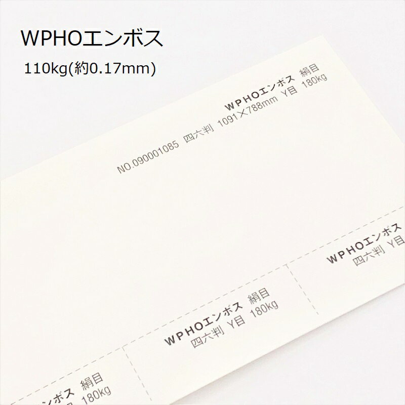 6ő350~OFFN[| yꎆzWPHOG{X 110kg(0.17mm) A4 100yCNWFbgp [U[v^[p G{X ځz