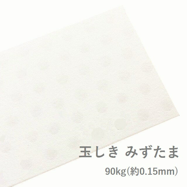 12月最大350円OFFクーポン 【特殊紙】玉しき みずたま 90kg(0.15mm) B5 100枚【ファンシーペーパー 印刷用紙 模様 エンボス 凹凸 水玉】