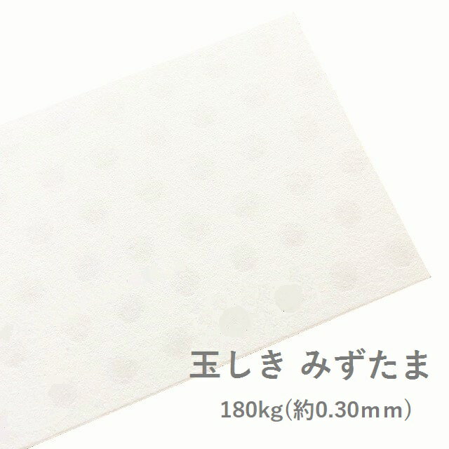 6月最大350円OFFクーポン 【特殊紙】玉しき みずたま 180kg 0.30mm A4 100枚【ファンシーペーパー 印刷用紙 模様 エンボス 凹凸 水玉】