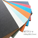 4月最大350円OFFクーポン 【特殊紙】NTラシャ 100kg(0.17mm) B5 100枚 (新色 既存色1)【ファンシーペーパー カラー スムース肌 色画用紙 羅紗】