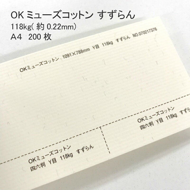 6月最大350円OFFクーポン 【 数量限定 特殊紙 】 OKミューズコットン 118kg 0.22mm すずらん A4 200枚 | ファンシーペーパー ストライプ 印刷用紙 レイド柄 ライン模様 すのめ すの目 スノメ …