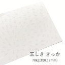 3月最大350円OFFクーポン 【特殊紙】玉しき きっか 70kg(0.12mm) B4 100枚【ファンシーペーパー 印刷用紙 模様 エンボス 凹凸 菊花】