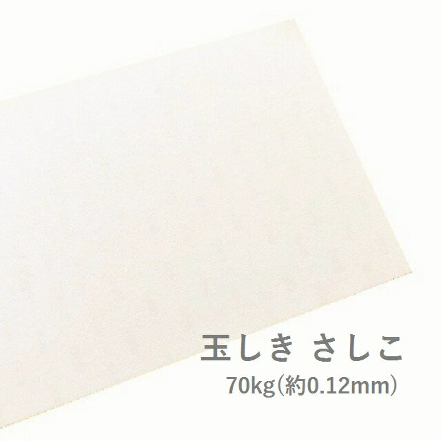 5月最大350円OFFクーポン 【特殊紙】玉しき さしこ 70kg(0.12mm) B4 100枚【ファンシーペーパー 印刷用紙 模様 エンボス 凹凸 刺し子】