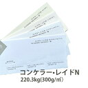 6月最大1,000円OFFクーポン 【特殊紙】 コンケラー・レイドN 厚さ 220.3kg 300g/平米 0.39mm ステーショナリーペーパー 選べるサイズ...