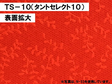 【特殊紙】TS-10(タントセレクト10) 130kg(0.20mm) A4 100枚選べる6色【ファンシーペーパー 印刷用紙 結婚式 招待状 型押し模様 エンボス スクラップブッキング カルトナージュ アルバム台紙 モビール ガーランド】