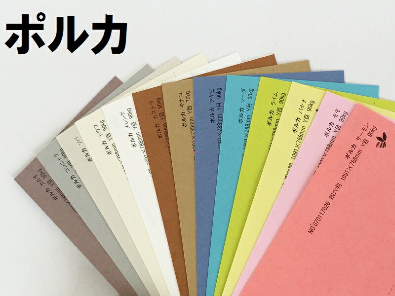 5月最大350円OFFクーポン 【特殊紙】ポルカ 90kg(0.16mm) B4 50枚全13色【ファンシーペーパー 印刷用紙 ラフ肌 ガサガサ カラフル FSC森林認証紙】