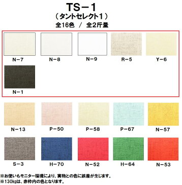 【特殊紙】TS-1(タントセレクト1) 130kg(0.23mm) A3 50枚選べる6色【ファンシーペーパー 印刷用紙 型押し模様 エンボス スクラップブッキング カルトナージュ アルバム台紙 モビール ガーランド】