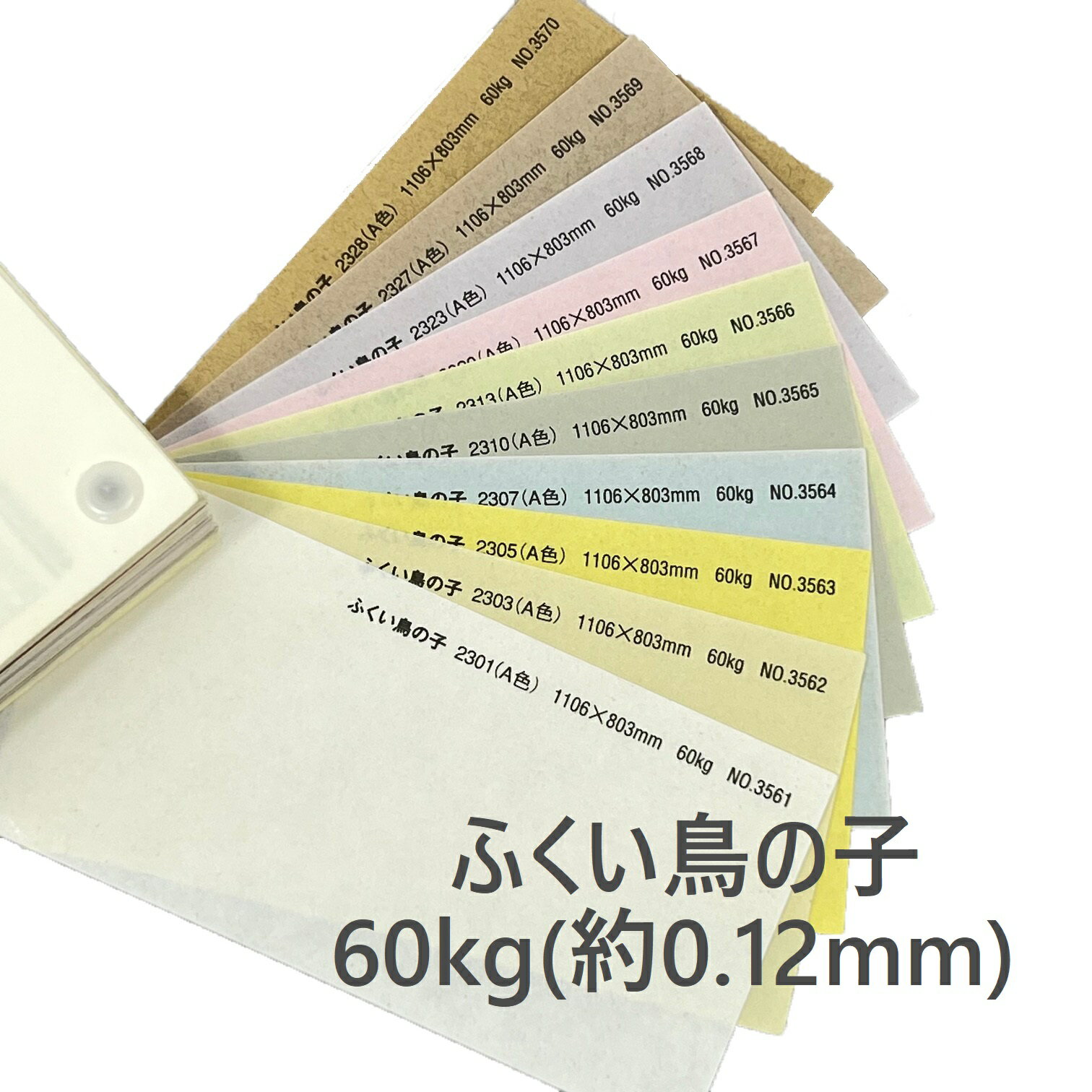 8月最大350円OFFクーポン 【 選べる19色 】 ふくい鳥の子 60kg 厚さ 0.12mm 選べるサイズ A3 A4 B4 B5 ..