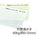 8月最大1,000円OFFクーポン 【和紙】 竹簀鳥の子 60kg 厚さ 約0.12mm 選べるサイズ A3 A4 B4 B5 選べる枚数 2色展開 白 肌 和紙 インクジェットプリンタ可 レーザープリンタ可 竹簀模様 程よい厚み メニュー パンフレット