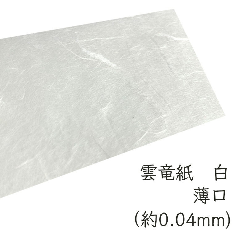 5月最大350円OFFクーポン 【和紙】 雲竜紙 薄口 厚さ 0.04mm 選べるサイズ A3 A4 B4 B5 選べる枚数 1色展開 白 薄い 薄い紙 透ける 透ける紙 雲形文様 楮 こうぞ レースのよう インクジェットプリンタ不可 レーザープリンタ不可