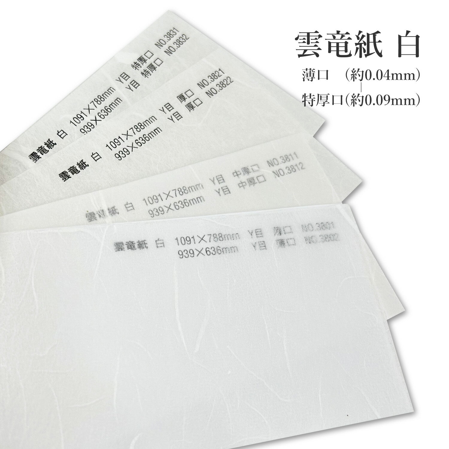 11月最大800円OFFクーポン 雲竜紙 白 【和紙】薄口(約0.04mm)/中厚口(約0.06mm)/厚口(約0.07mm)/特厚口..