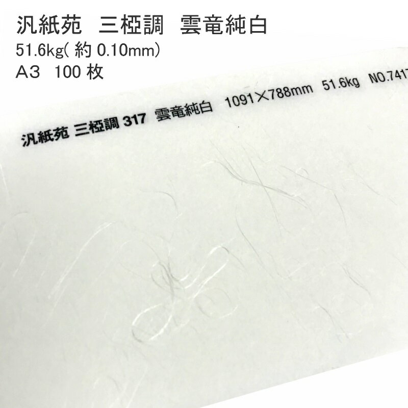 11月最大800円OFFクーポン 【和紙】 汎紙苑 三椏調 雲竜純白 51.6kg ( 0.10mm ) A3 100枚 | 繊維 筋 模..