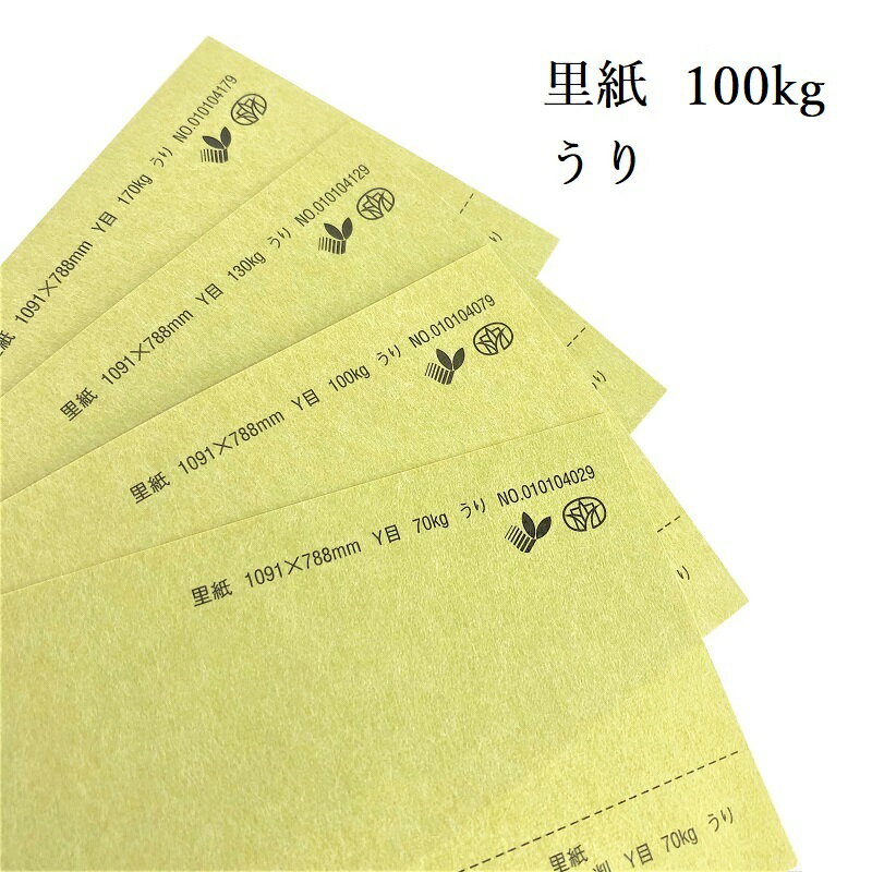 5月最大350円OFFクーポン 【特殊紙】 