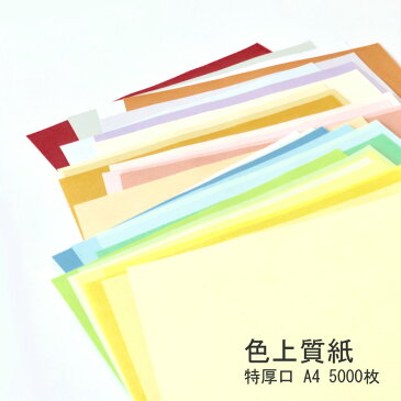 送料無料 色上質紙 特厚口 A4 5000枚 肌 | 色画用紙 A4 カラー 厚紙 紙 色 画用紙 コピー用紙 カラーコピー用紙 インクジェット紙 カラーペーパー 両面印刷 プリンタ用紙 メニュー表 印刷用紙 カラー用紙 色紙 チケット プログラム 用紙 履歴書