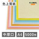 5月最大1,000円OFFクーポン 【選べる23色】 色上質紙 中厚口 A4 5000枚 厚紙 色画用紙 画用紙 カラー コピー用紙 メニュー表 スタンプ ポイ...