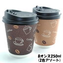 【SET：箱D1-1 箱】蓋付き 紙コップ「カフェN」8オンス250ml(茶/こげ茶2色アソート) 1000組 送料無料 ケース ／ 使い捨て コーヒーカップ 珈琲 喫茶店 美容室 ネイル エステ サロン カフェ