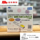 【第1類医薬品】 エスプライン SARS-CoV-2＆Flu A＋B (一般用) 2回用【 新型コロナ 抗原検査キット インフルエンザウイルス抗原キット／ 鼻腔 ／ 新型コロナウイルス SARS 抗原 インフルエンザウイルス A型 B型 同時検査薬 ／ 富士レビオ】