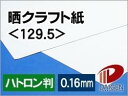 晒クラフト紙 <129.5> ハトロン判 20枚 | クラフト紙 白 ホワイト 包装紙 手提げ袋 薬袋 和裁 洋裁 型紙 パターン紙 大きいサイズ 紙 用紙 ペ...