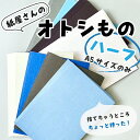 【ポスト投函】紙屋さんのオトシもの ハーフ/1個 | ハンドメイド 材料 パーツ クラフト 折り紙 ハンドメイド 紙 用紙 ペーパー サイズ A5 業務用 福袋...