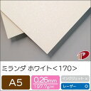 ミランダ ホワイト <170> A5 | ファンシーペーパー ペーパークラフト 大人 キット ハンドメイド 材料 パーツ ピース ブライダル 席辞表 席札 表紙...