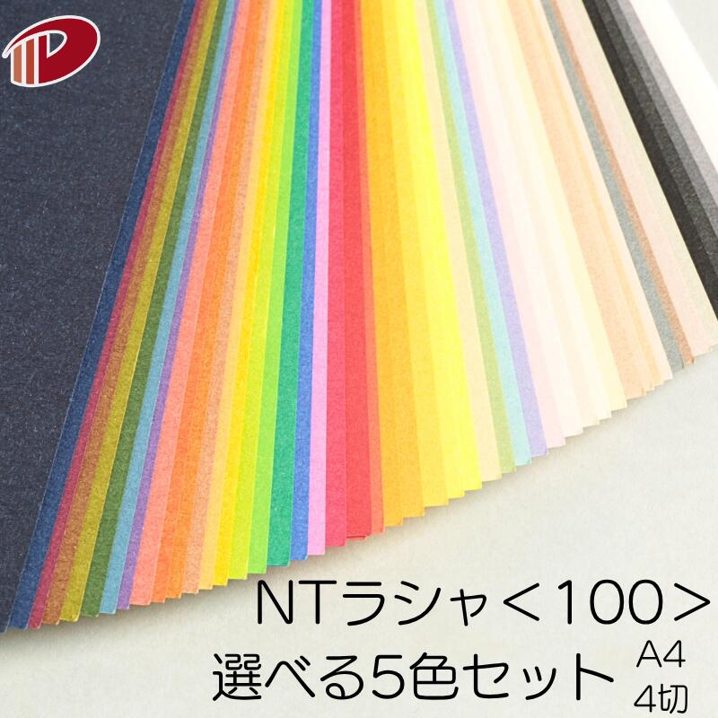 楽天市場】ntラシャの通販