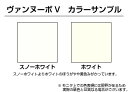 ヴァンヌーボV＜175＞A3/50枚 2