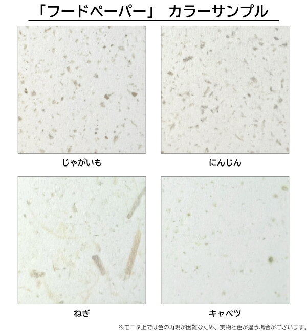 FoodPaper＜薄口＞A3/20枚 フードペーパー 越前和紙 和紙 フードロス SDGs 2
